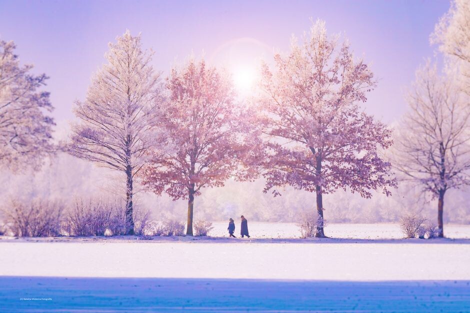 Frozen III