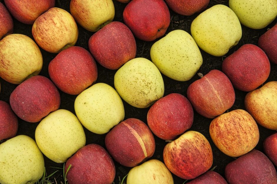 Rosh Hashanah 2026