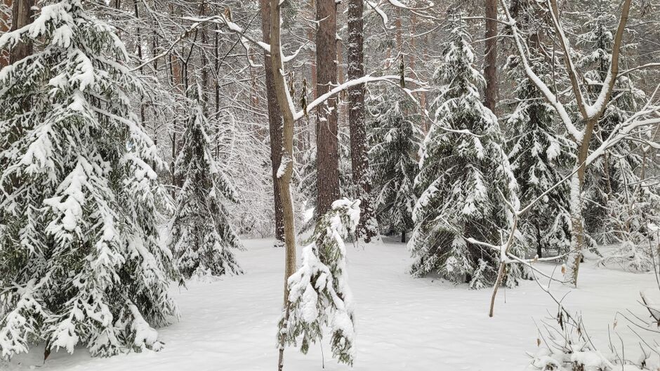 Winter Solstice 2026